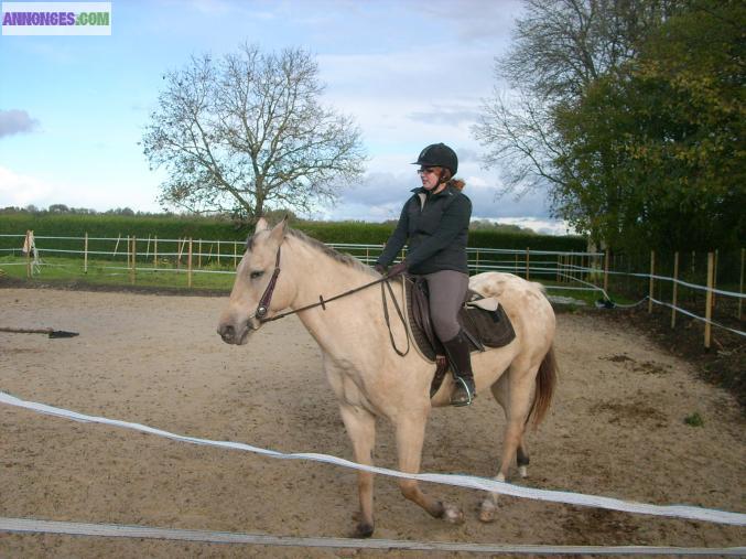 Jument appaloosa croisée quarter horse de 6 ans