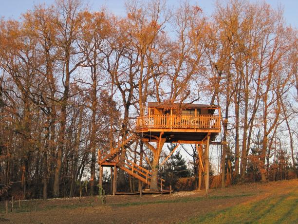 Montignac-de-Lauzun - La Cabane du Lamas