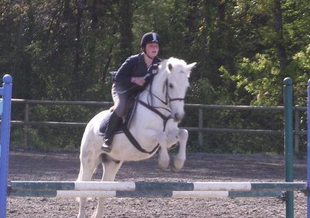 Travail poney et chevaux