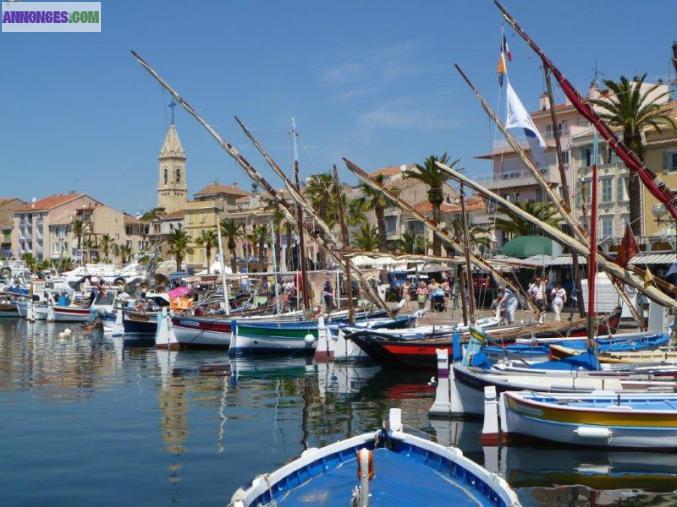 100M PORT ET 300M PLAGE APPRT CLIMATISE A SANARY