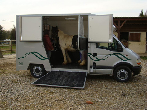 Camion chevaux Master Renault 90CV