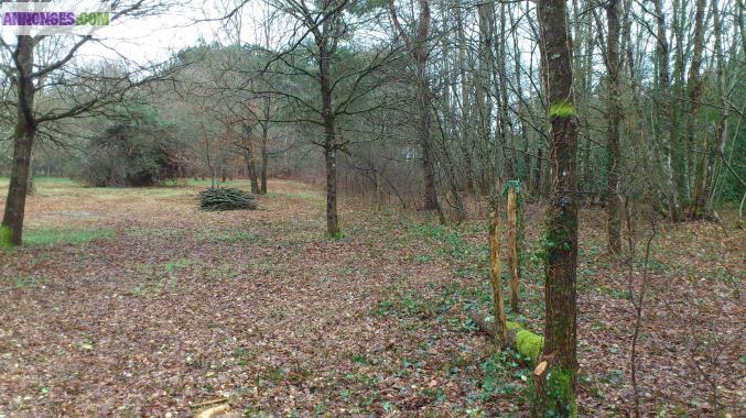 Très beau terrain dans site protégé de Chateau l'Hermitage