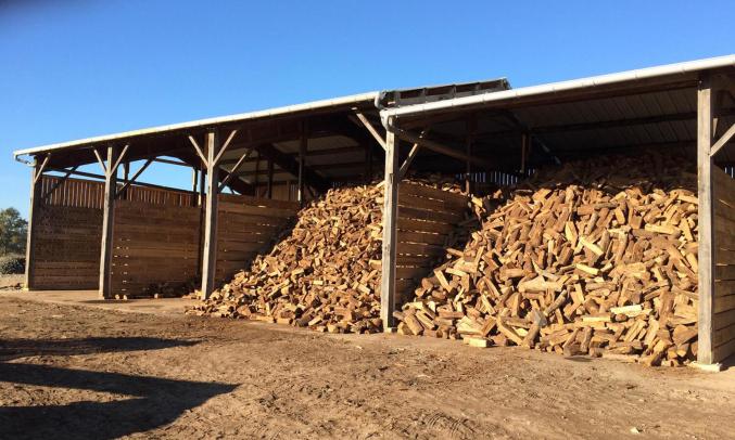 Bois de chauffage bien sec prêt pour l'hiver