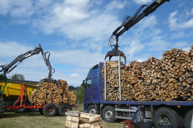 Grande promotion de bois de chauffage