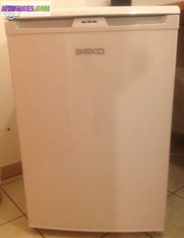 URGENT congélateur BEKO FSE1000