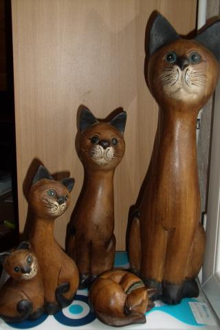 LOT DE 5 CHATS