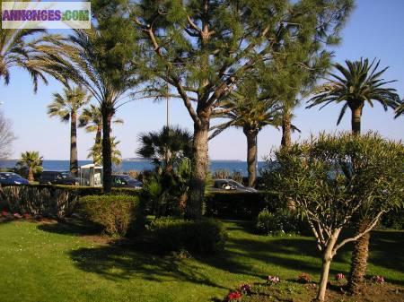 Studio-cabine en résidence sécurisée front de mer à Cannes