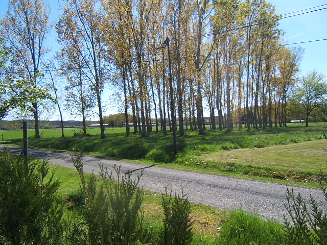 Terrain à bâtir, plat, mi arboré