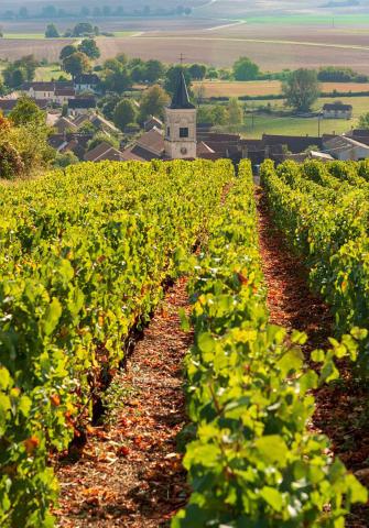 STAGE D ÉQUITATION EN BOURGOGNE 