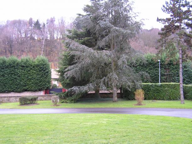 Saint-Cyr-au-Mont-d'Or - Calme et Verdure