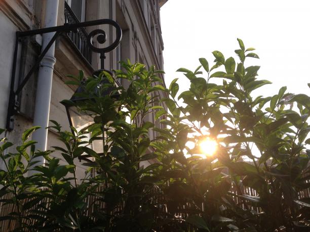 Paris - Terrasse & charme au coeur de Paris