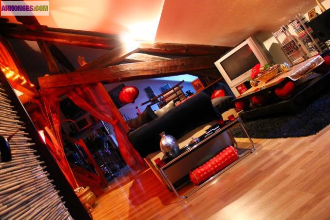 Appartement duplex/loft de type F1 Centre Ville Beaune