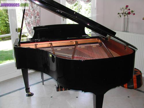 Piano Essex by Stenway, EGP 161 C Silent