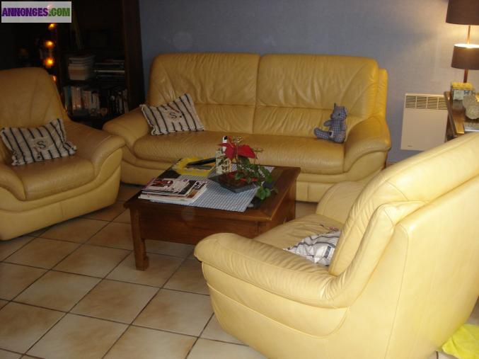 Salon cuir fine fleur jaune, canapé 3 pl. + 2 fauteuils.