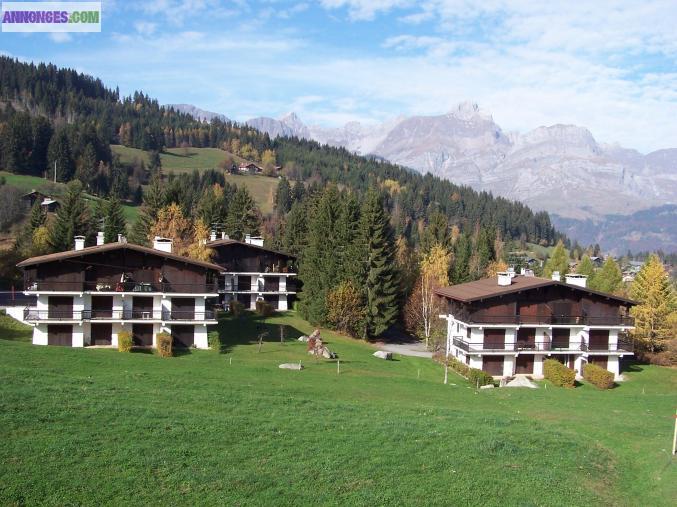 COMBLOUX - Studio 4P avec  vue  Mt-Blanc