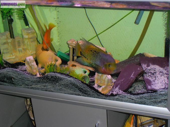 Aquarium