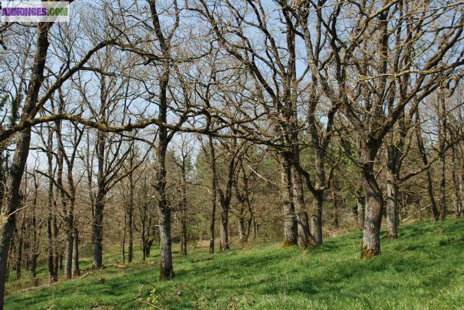 Terrain de loisir, chasse et peche