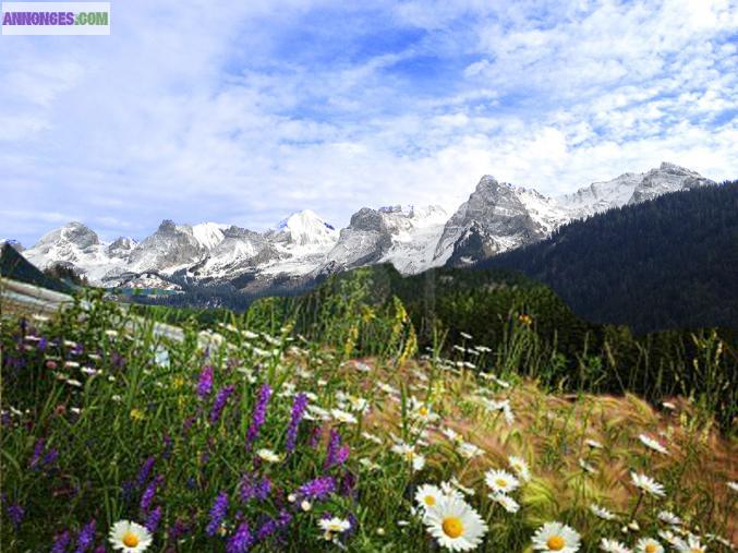 Superbe terrain de 766 m2au Grand-Bornand