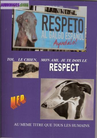 Aidons les lévriers (galgos)