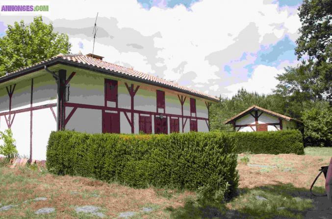 Location de vacances :  Vieille maison landaise restaurée, dans un airial de la forêt des landes.