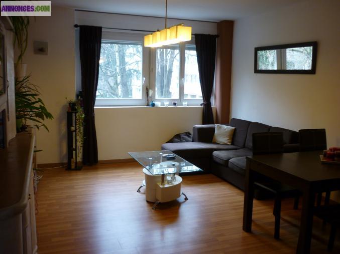 3 pièces 56m² la perallière