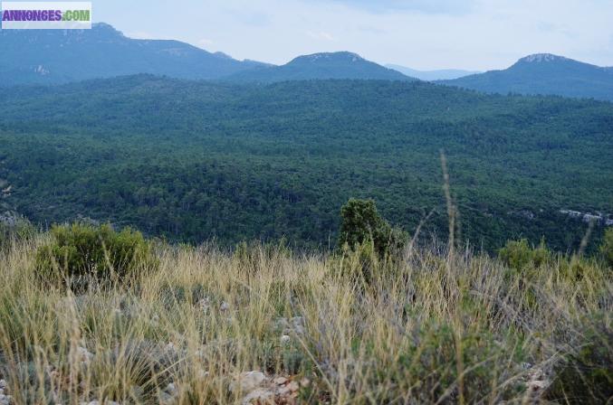 Hectares sauvages dans le Sud