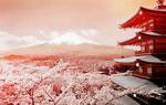 Cours de japonais - Miniature