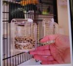 Cage séparation  - Miniature