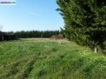 Terrain 8000 m² divisible en 2 lot - Miniature