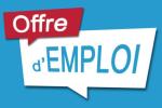 Offre d'emploi spéciale et rentable - Miniature