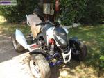 Quad bashan bs300 - Miniature